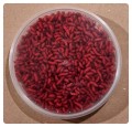 20250628_185820.jpg