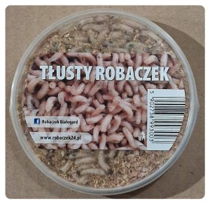 Tłusty robaczek w opakowaniu 100 ml 