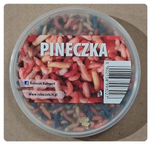 Pineczka w opakowaniu 100 ml 